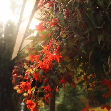 Aris Διαμέρισμα *