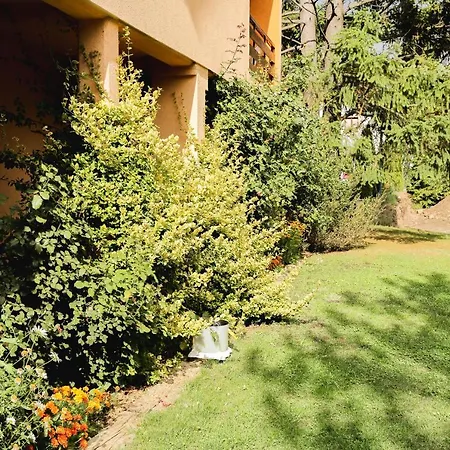 Aris 兹拉蒂博尔