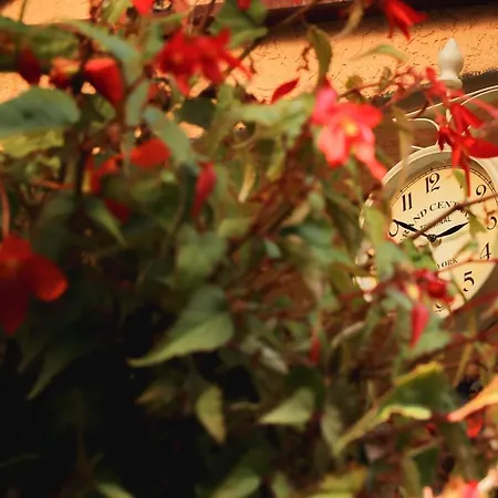 Διαμέρισμα Aris Ζλάτιμπορ