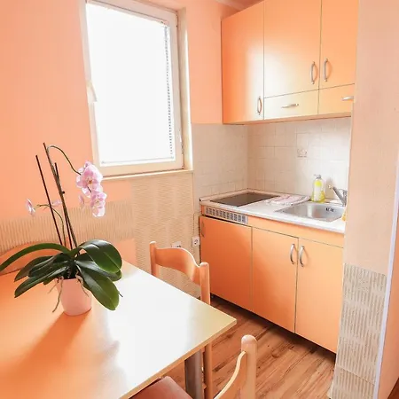 Aris Διαμέρισμα Ζλάτιμπορ