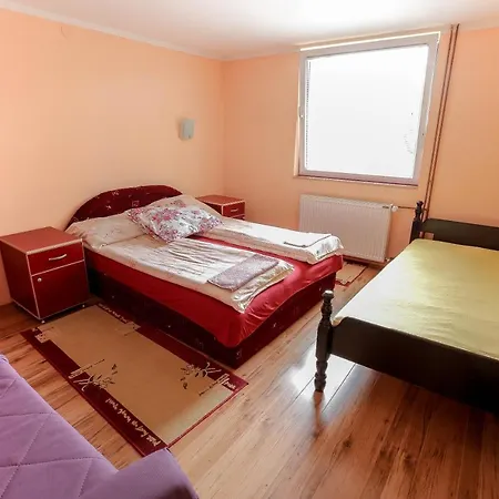 Aris * 兹拉蒂博尔