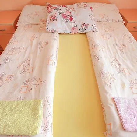 Aris 兹拉蒂博尔