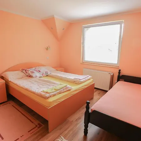 公寓 Aris 兹拉蒂博尔