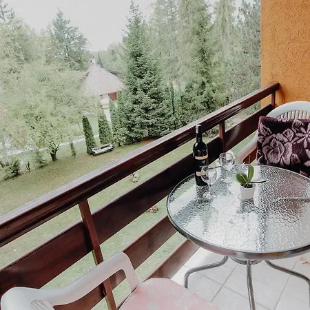 Aris 公寓 兹拉蒂博尔