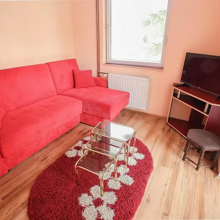 Aris 兹拉蒂博尔