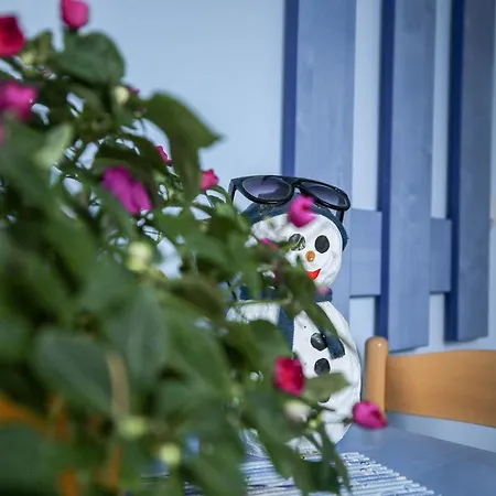 Aris * Ζλάτιμπορ