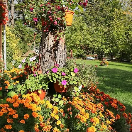 Διαμέρισμα Aris *