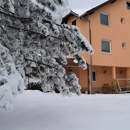 Aris * Zlatibor